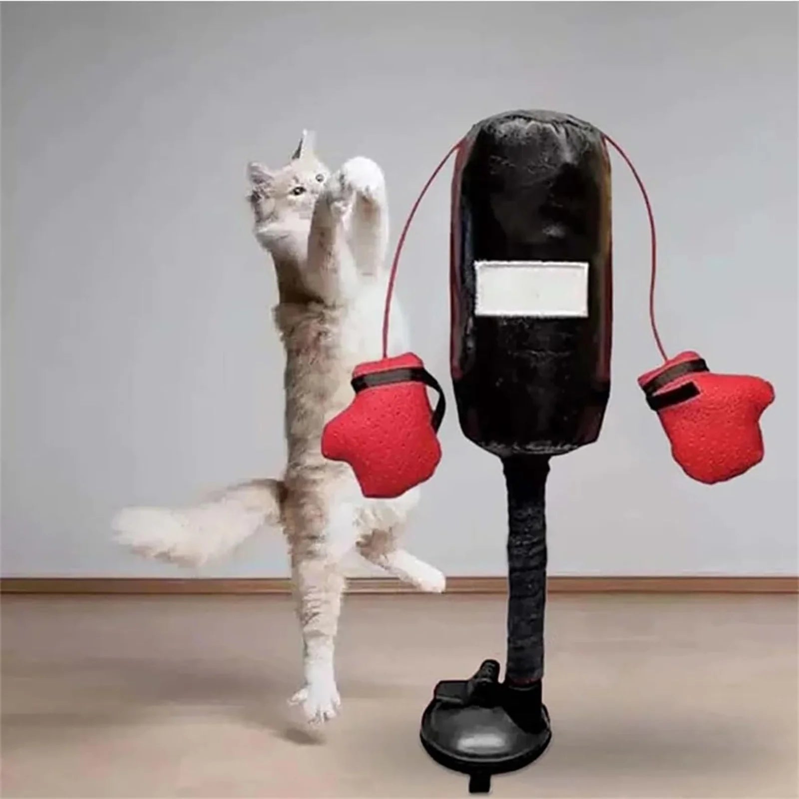 Get Ready to Rumble: The Purr-fect Cat Punching Bag Toy for Feline Fighters!