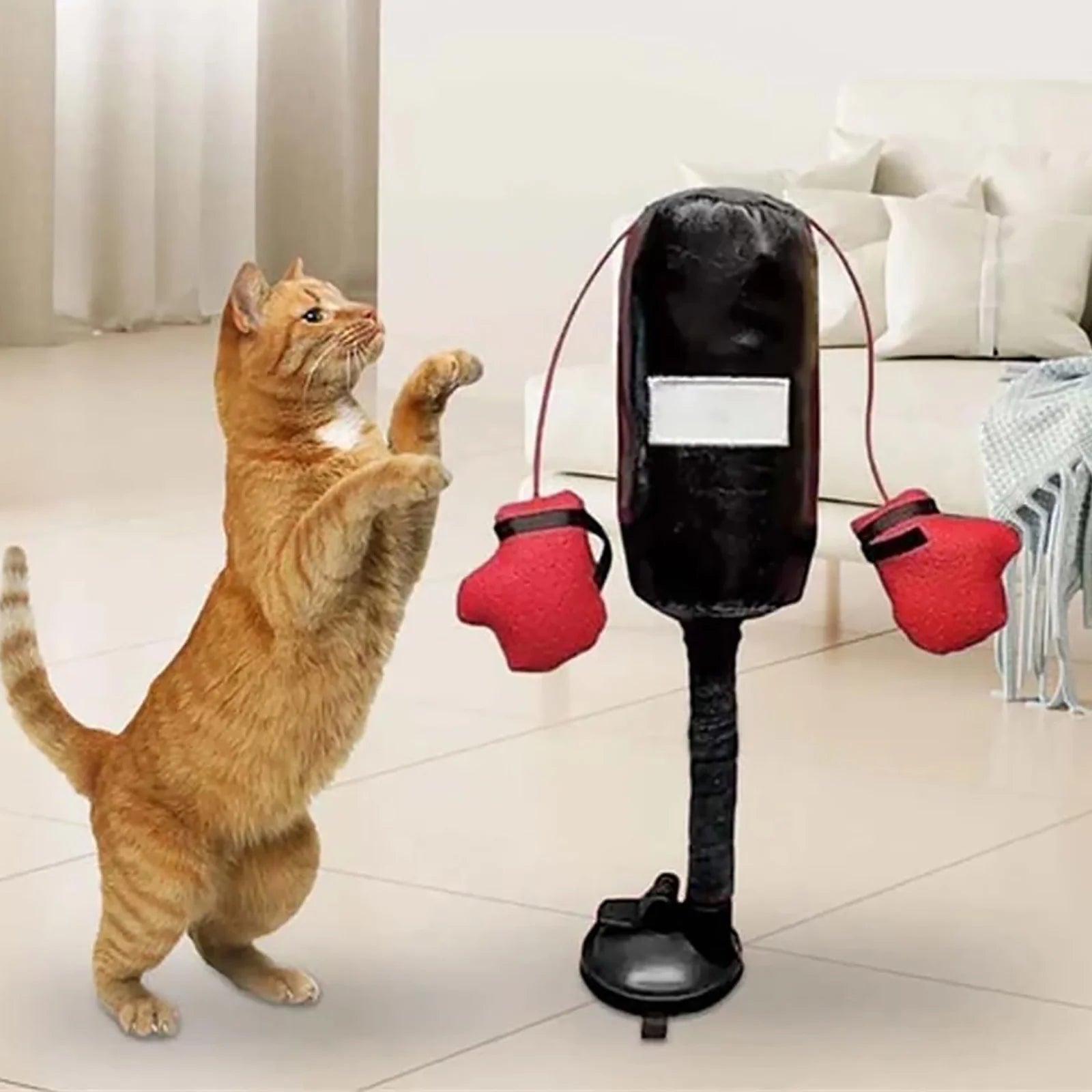Get Ready to Rumble: The Purr-fect Cat Punching Bag Toy for Feline Fighters!