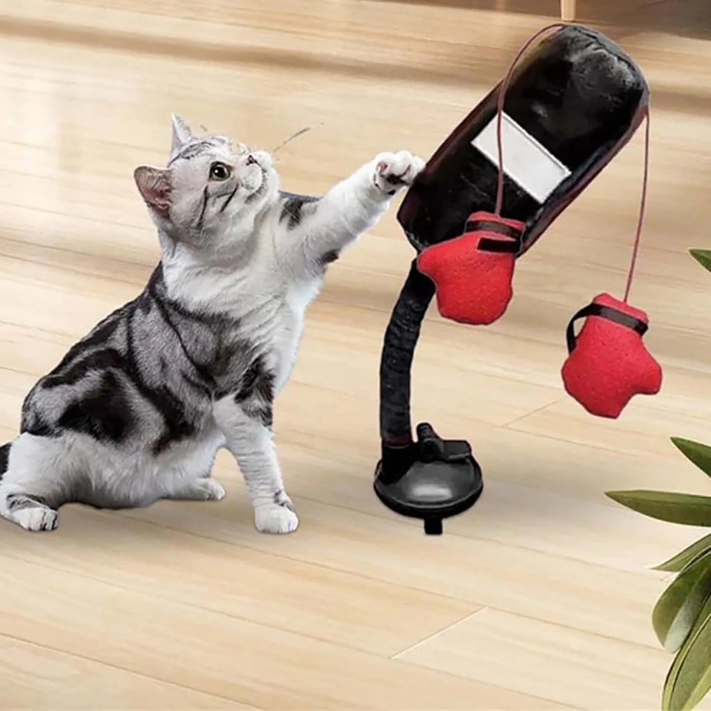 Get Ready to Rumble: The Purr-fect Cat Punching Bag Toy for Feline Fighters!